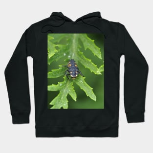 Larva of Coccinella septempunctata (seven-spotted ladybug) Hoodie